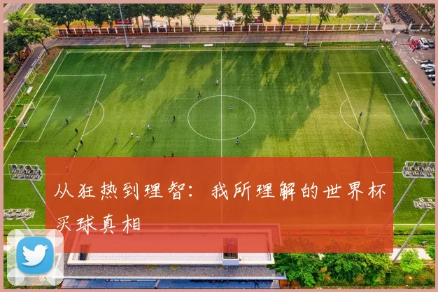 从狂热到理智:我所理解的世界杯买球真相