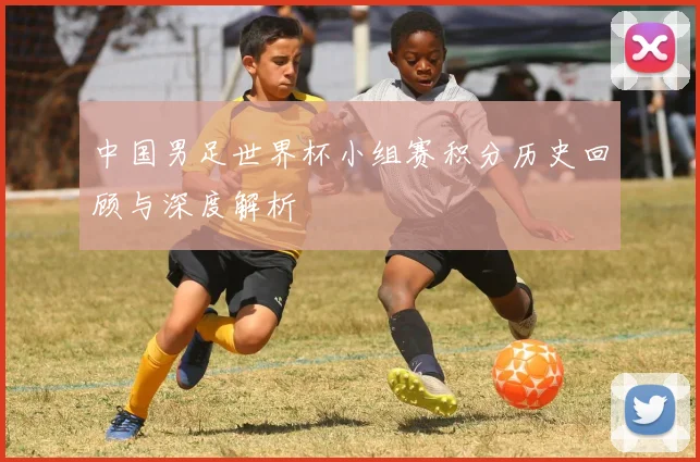 中国男足世界杯小组赛积分历史回顾与深度解析