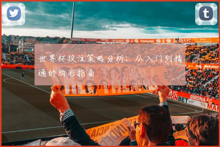 世界杯投注策略分析:从入门到精通的购彩指南