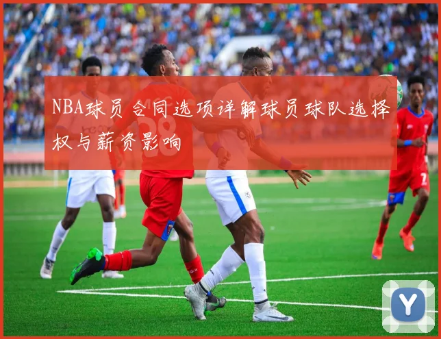 NBA球员合同选项详解球员球队选择权与薪资影响