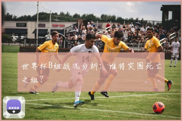 世界杯B组战况分析:谁将突围死亡之组?