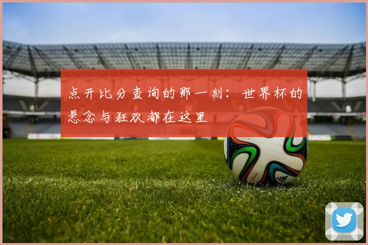 点开比分查询的那一刻:世界杯的悬念与狂欢都在这里