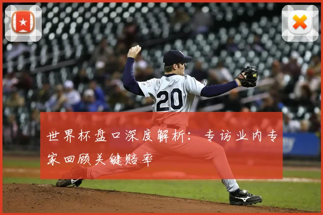 世界杯盘口深度解析:专访业内专家回顾关键赔率