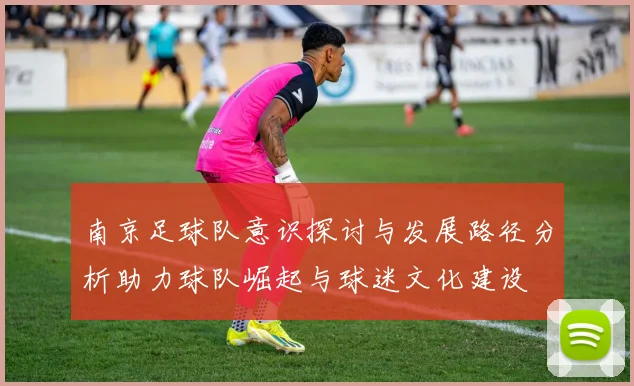 南京足球队意识探讨与发展路径分析助力球队崛起与球迷文化建设