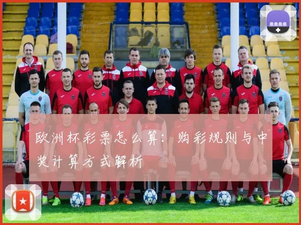 欧洲杯彩票怎么算:购彩规则与中奖计算方式解析