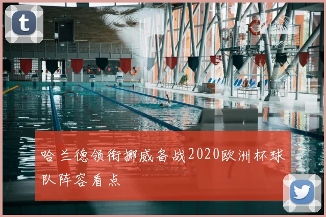 哈兰德领衔挪威备战2020欧洲杯球队阵容看点
