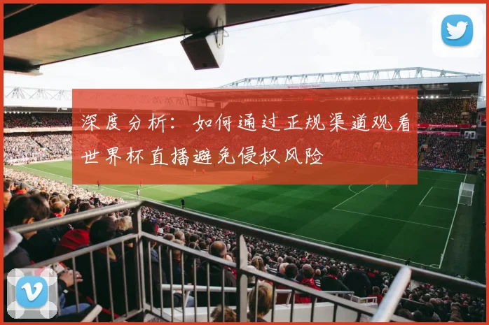 深度分析：如何通过正规渠道观看世界杯直播避免侵权风险