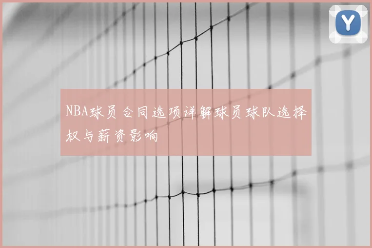 NBA球员合同选项详解球员球队选择权与薪资影响